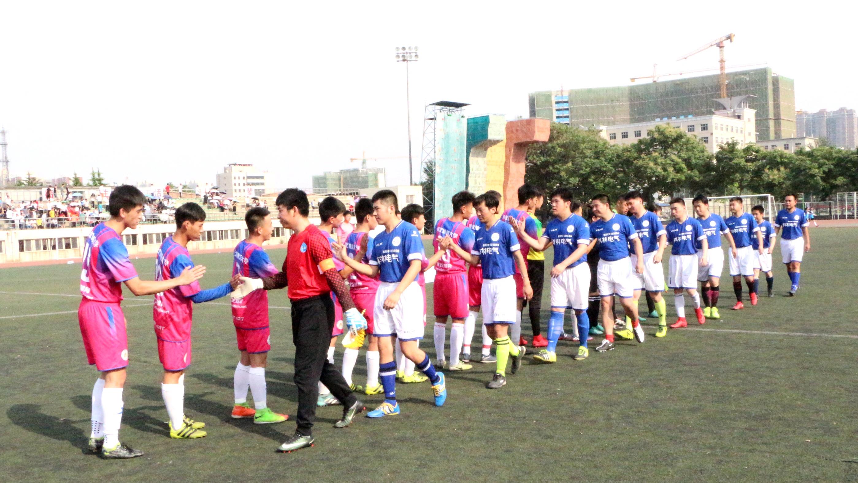 九五至尊VI生涯